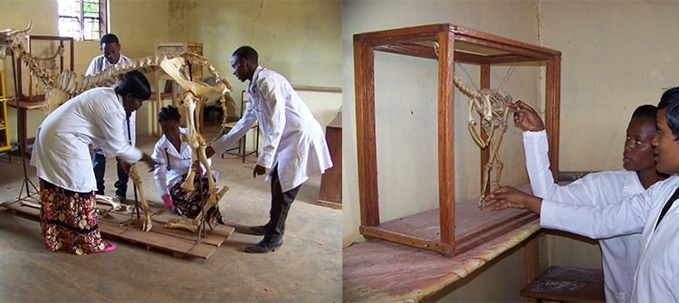 VLTC students in practical session