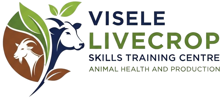 VLTC Logo